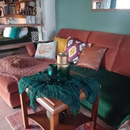 Rose Room 40M2 With Terrace 25M2 In Greeny Area For 4 Person Ljubljana Extérieur photo