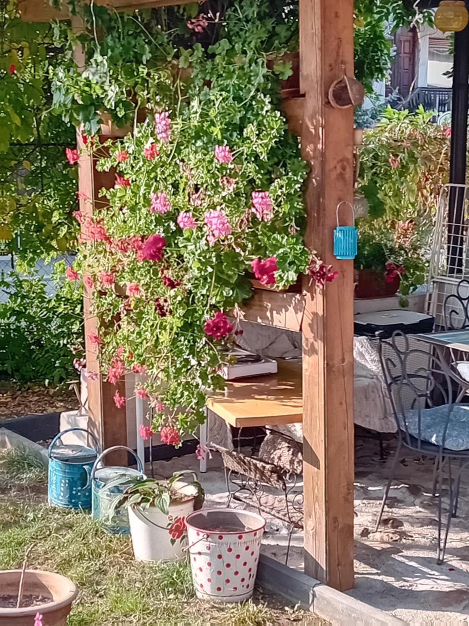 Rose Room 40M2 With Terrace 25M2 In Greeny Area For 4 Person Ljubljana Extérieur photo