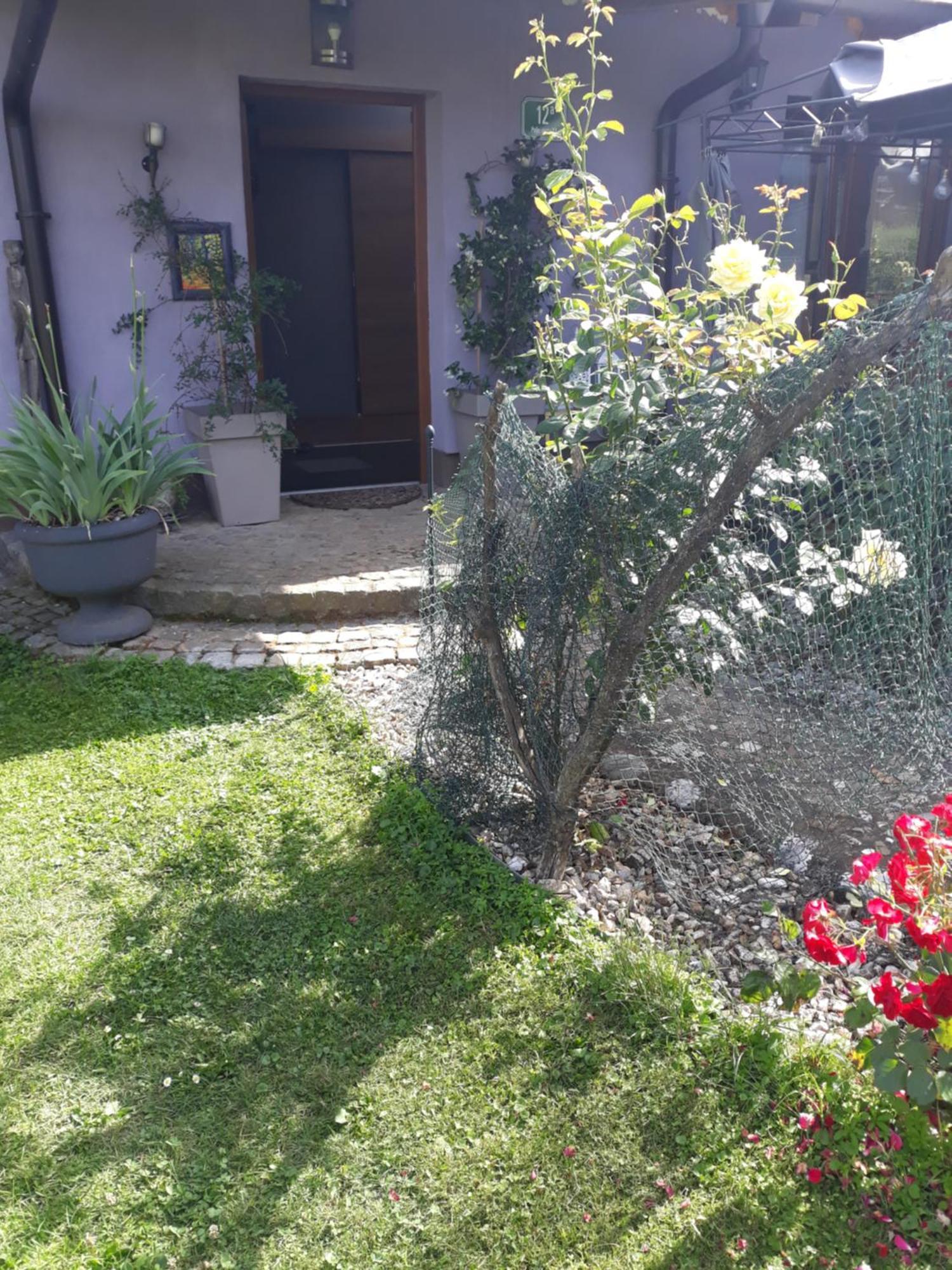 Rose Room 40M2 With Terrace 25M2 In Greeny Area For 4 Person Ljubljana Extérieur photo