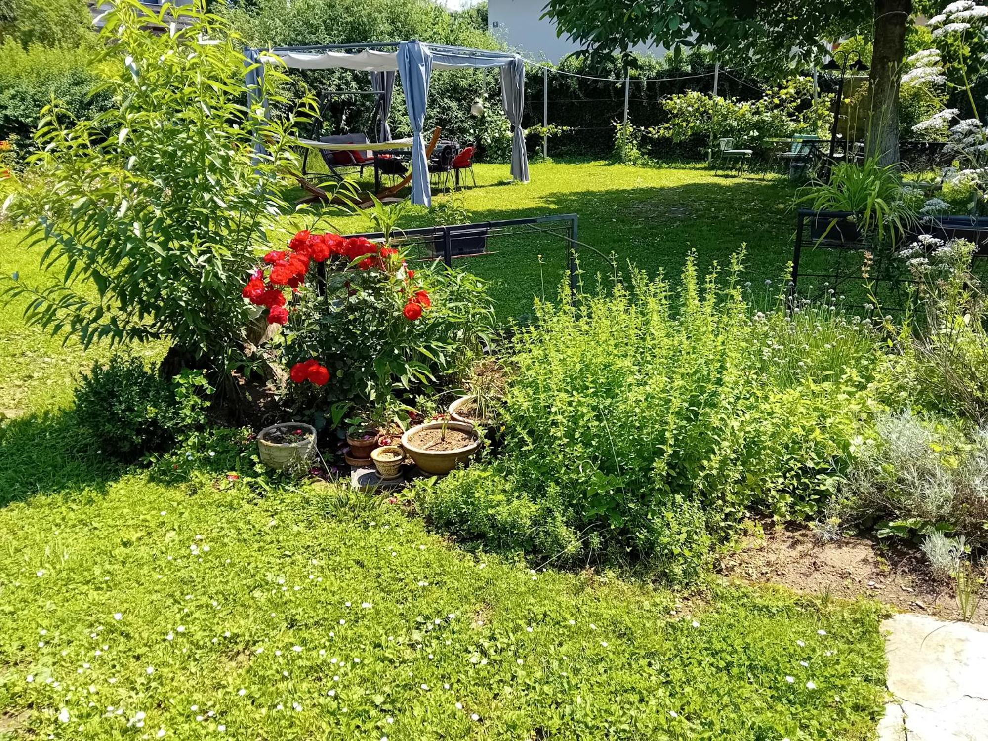 Rose Room 40M2 With Terrace 25M2 In Greeny Area For 4 Person Ljubljana Extérieur photo