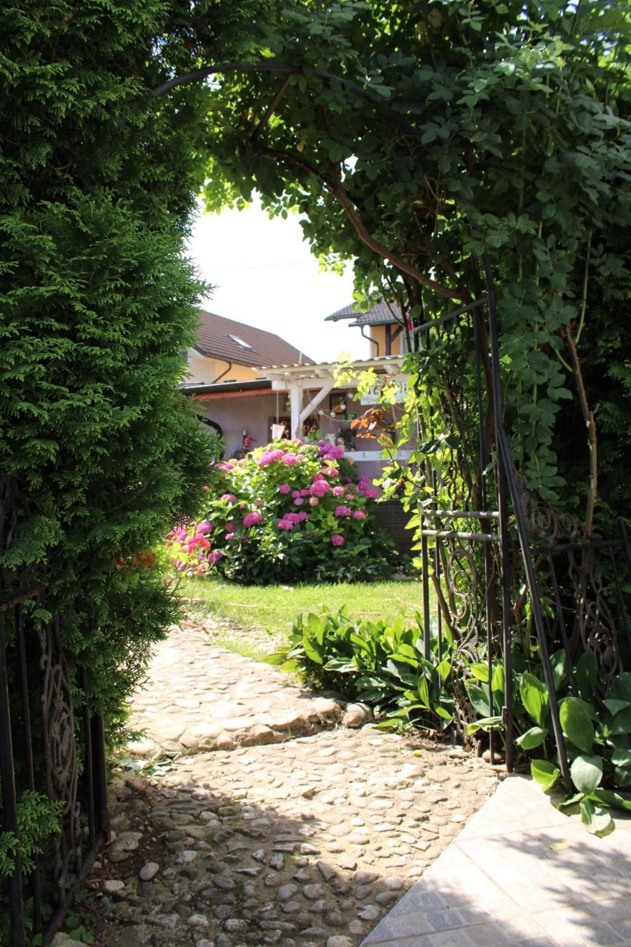 Rose Room 40M2 With Terrace 25M2 In Greeny Area For 4 Person Ljubljana Extérieur photo