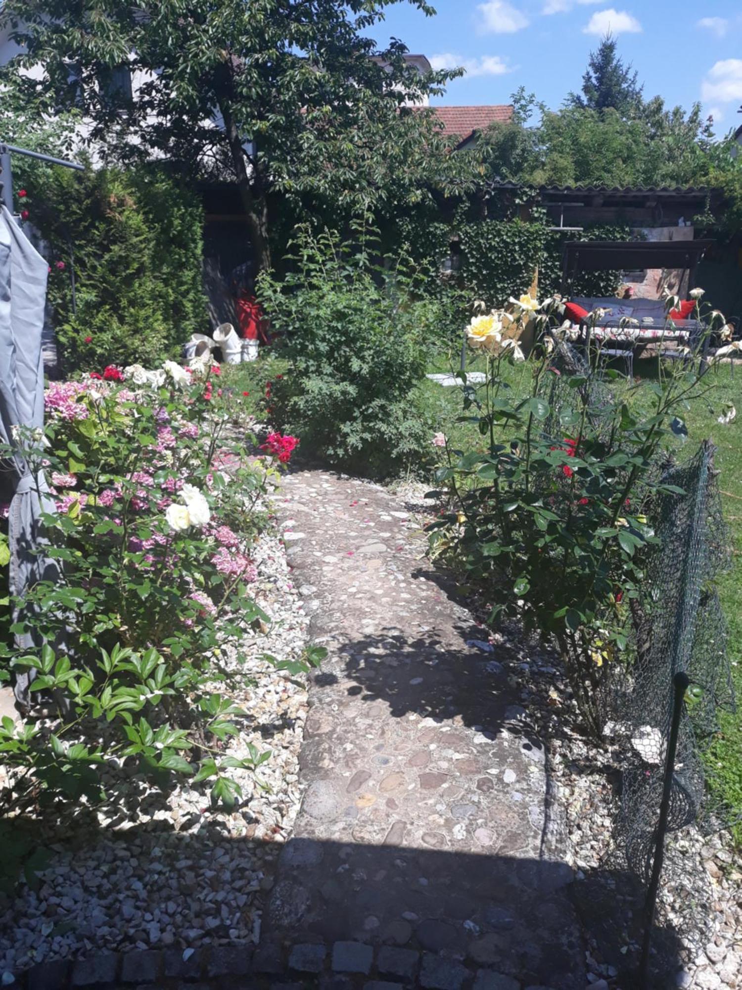 Rose Room 40M2 With Terrace 25M2 In Greeny Area For 4 Person Ljubljana Extérieur photo